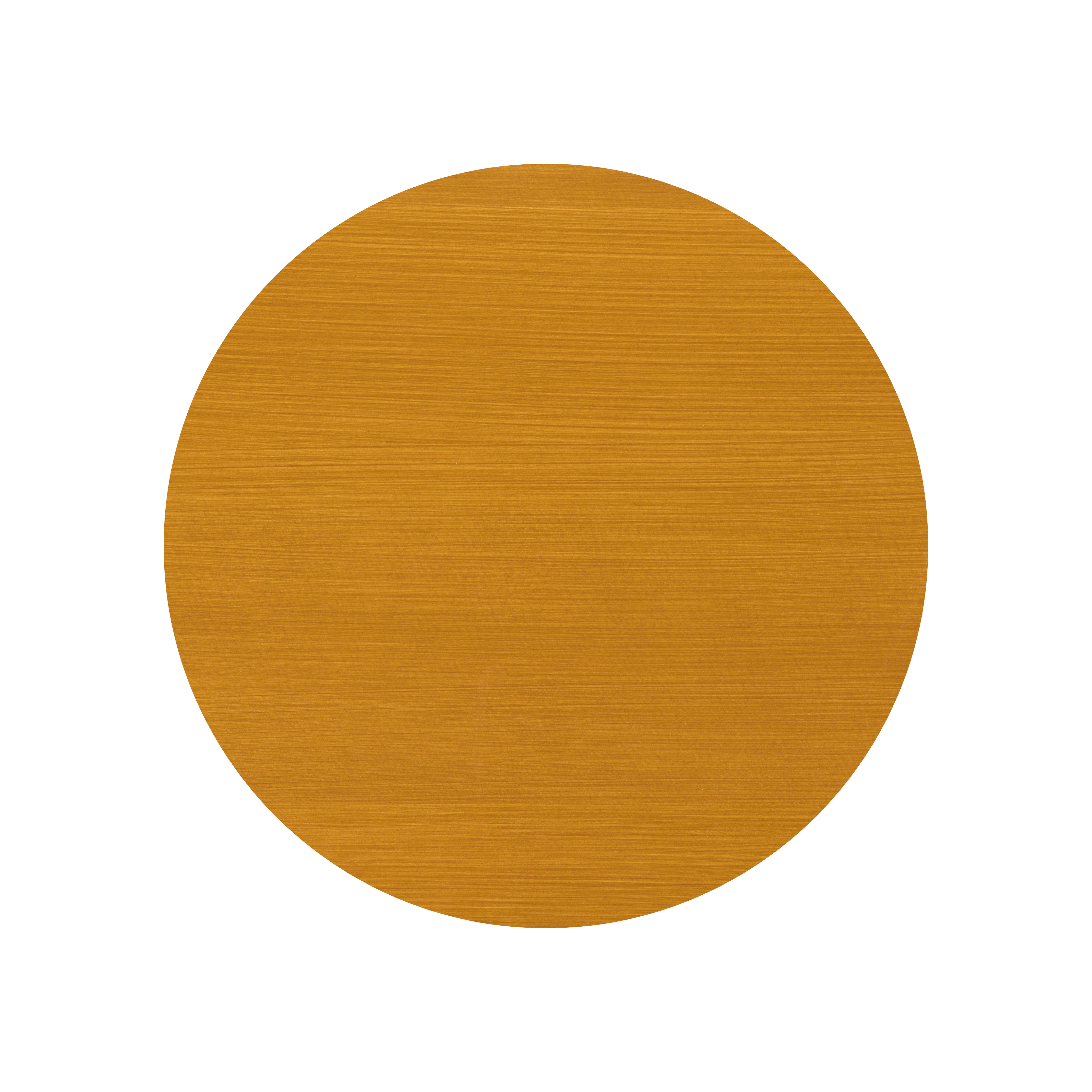 7247 Kiefer transparent Varianten Bild