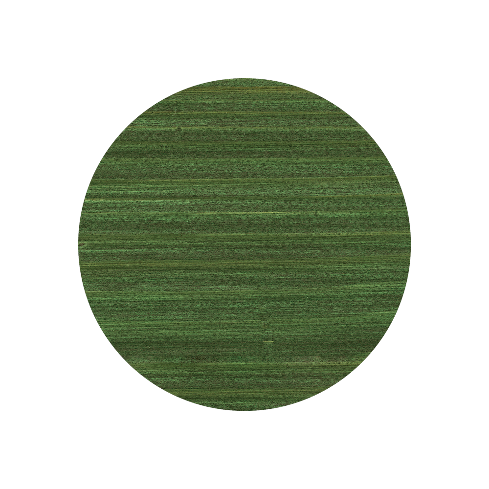 729 Tannengrün Varianten Bild