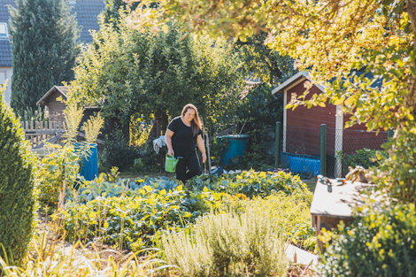 Produktbild Produktbild