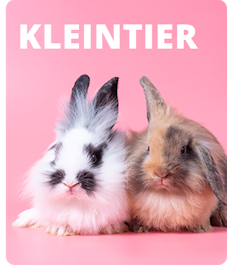  Sliderbild